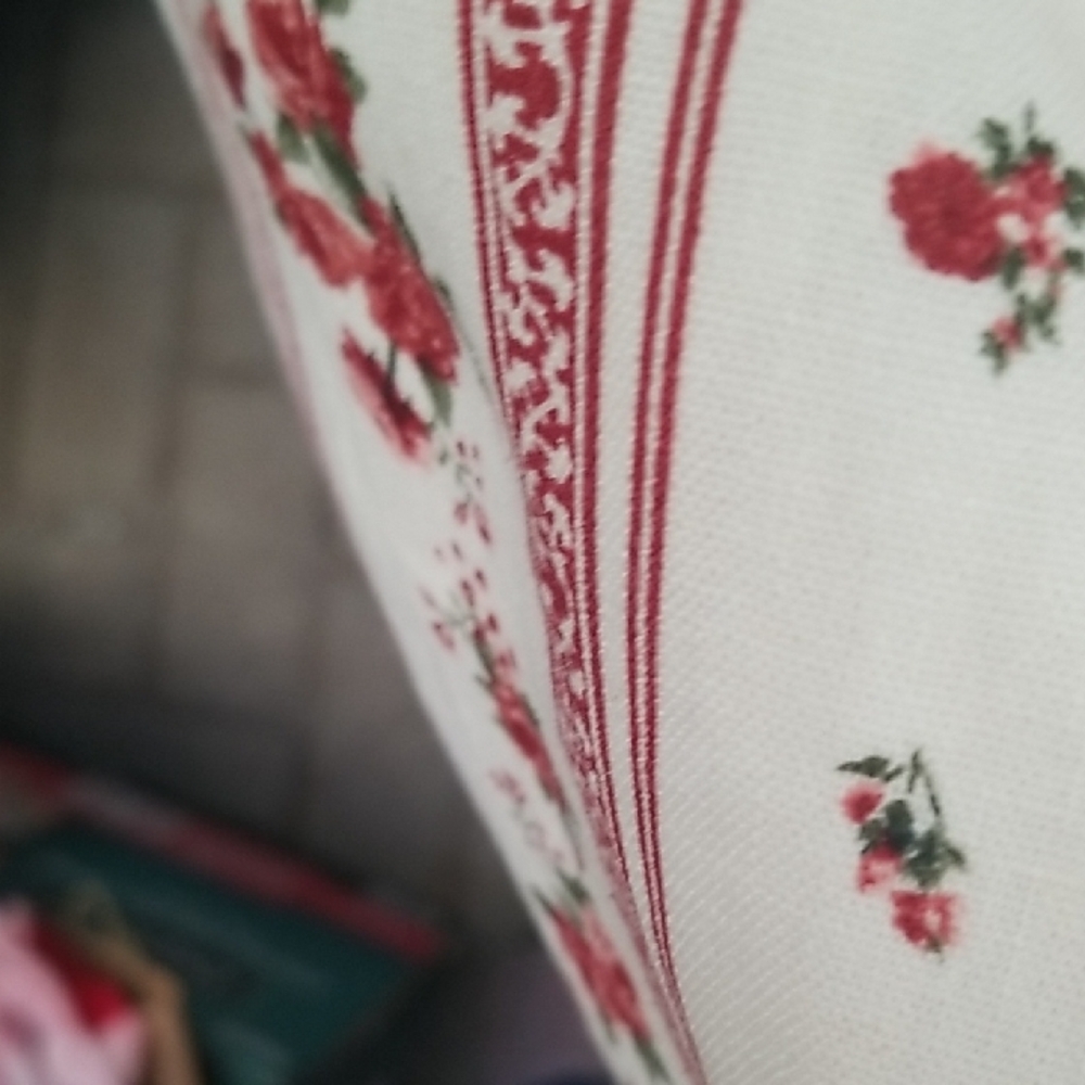 Joie Cream and Red Striped Floral Maxi Skirt - Picture 6 of 7